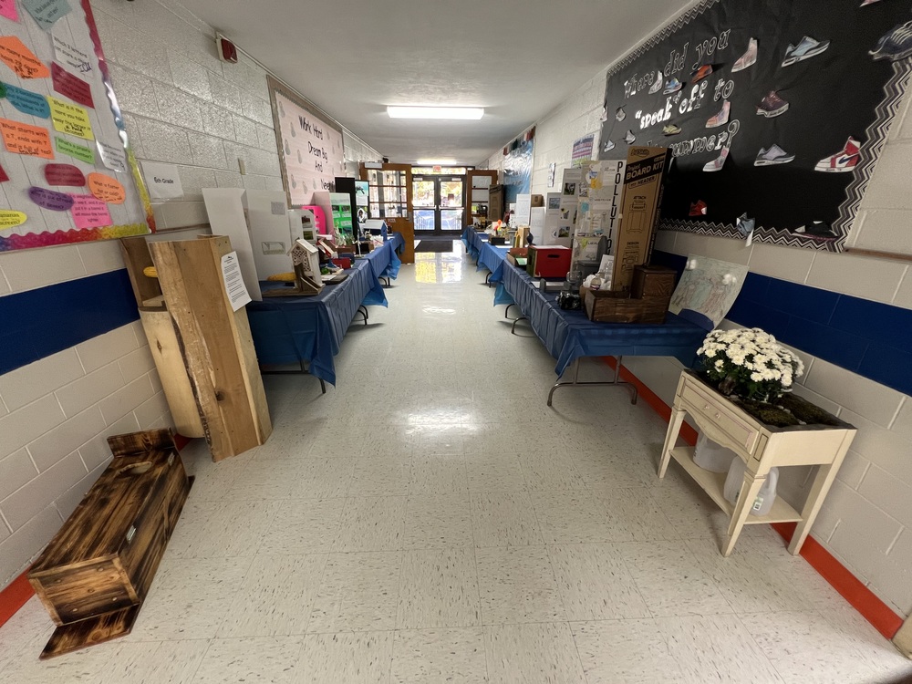 Conservation Projects for Sixth Grade